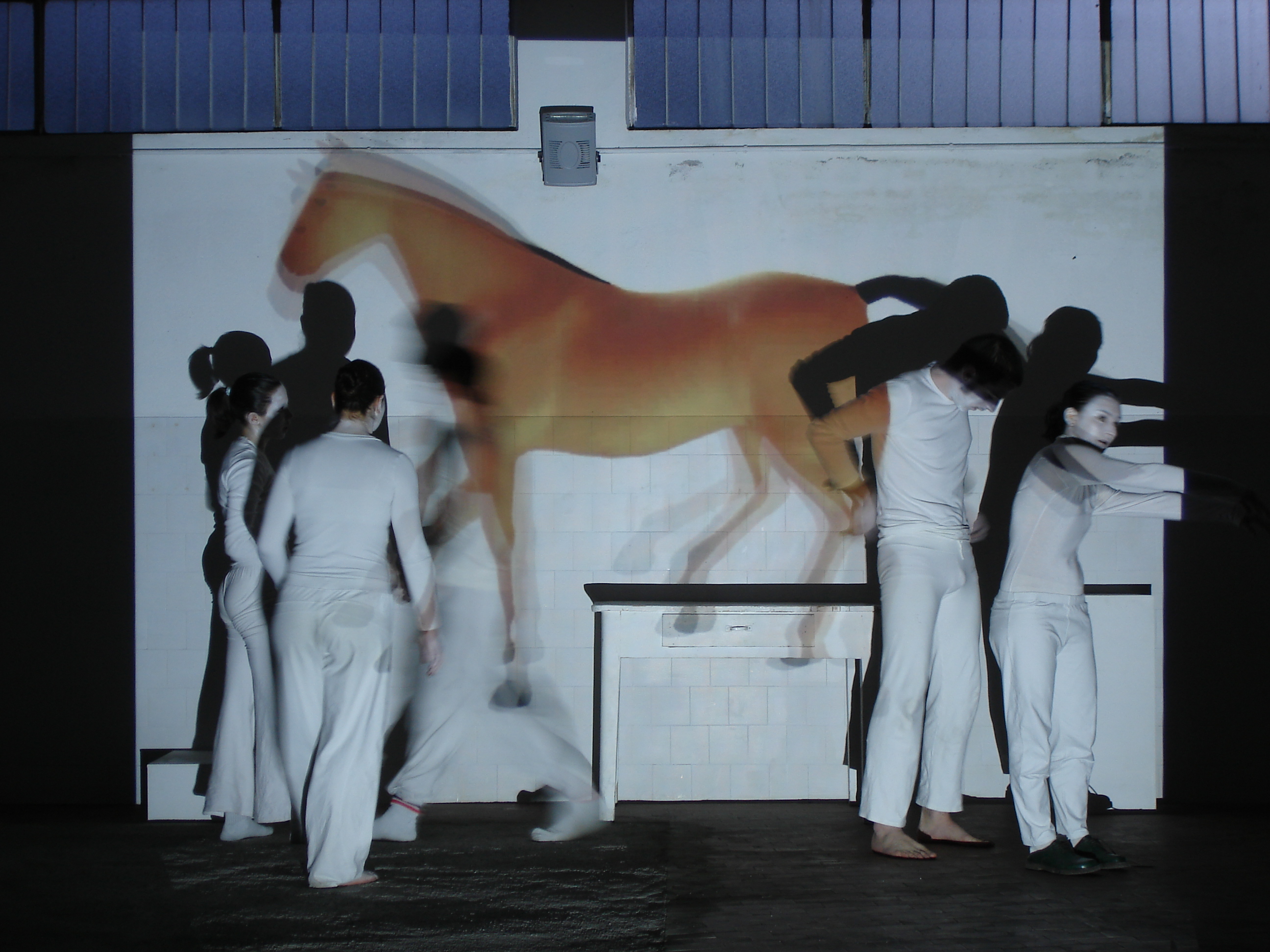 Lavoro 1 immagine 10